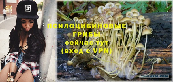 синтетический гашиш Балахна