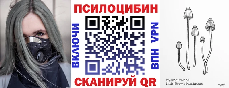 где купить наркотик  Ермолино  Псилоцибиновые грибы Magic Shrooms 